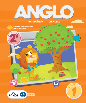 Kit Material Didático Anglo – 2ºAno Fundamental